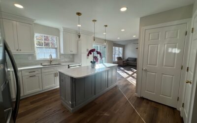 The Pros and Cons of Open Concept Kitchen Designs